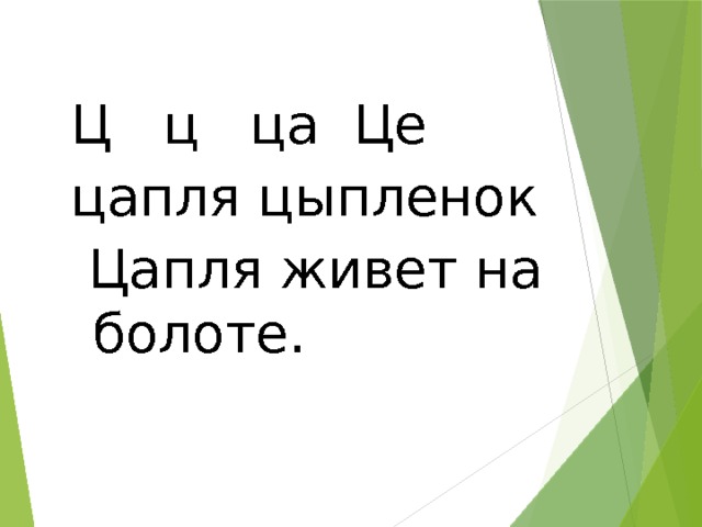 Ц ц ца Це цапля цыпленок  Цапля живет на болоте. 