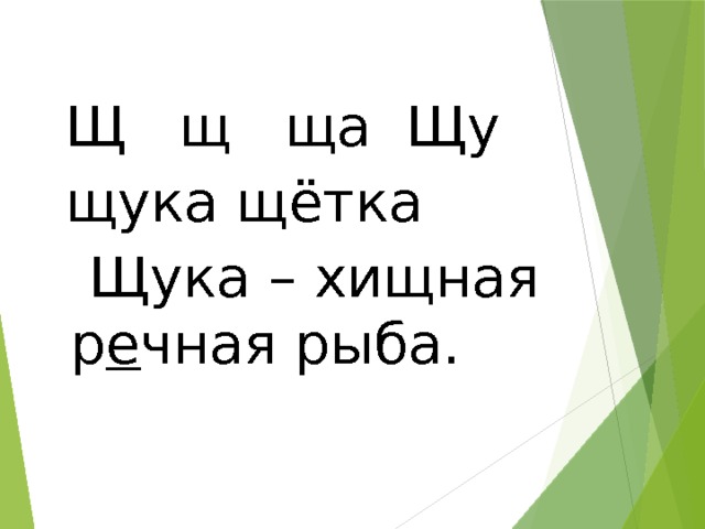 Щ щ ща Щу щука щётка Щука – хищная р е чная рыба. 