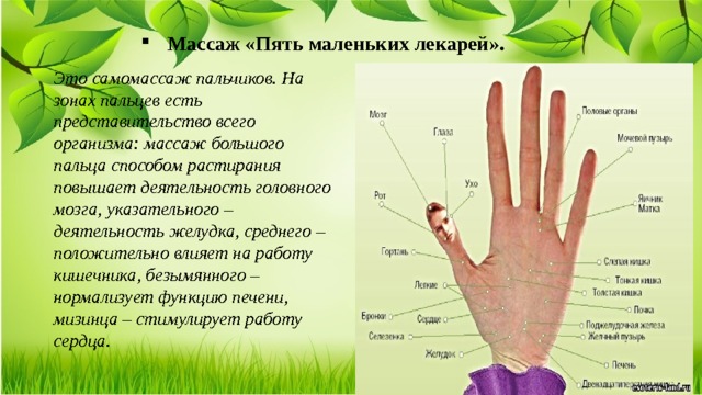 Массаж «Пять маленьких лекарей». Это самомассаж пальчиков. На зонах пальцев есть представительство всего организма: массаж большого пальца способом растирания повышает деятельность головного мозга, указательного – деятельность желудка, среднего – положительно влияет на работу кишечника, безымянного – нормализует функцию печени, мизинца – стимулирует работу сердца. 