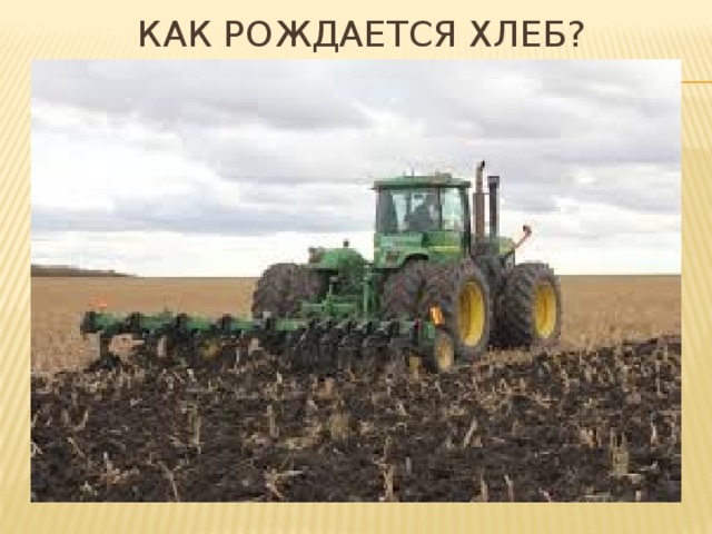 Как рождается хлеб?