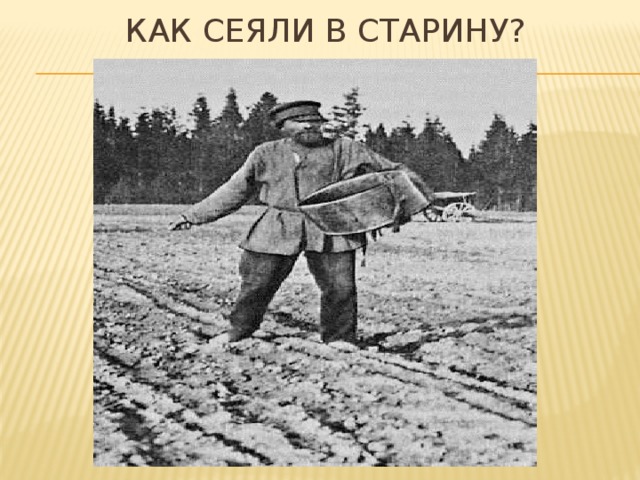 Как сеяли в старину?