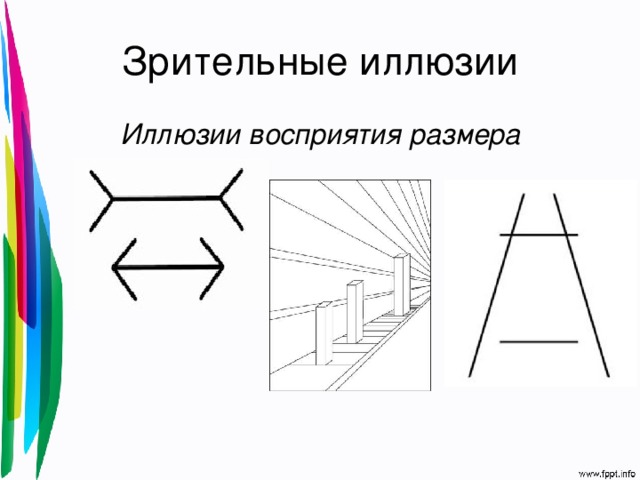 Зрительные иллюзии Иллюзии восприятия размера 