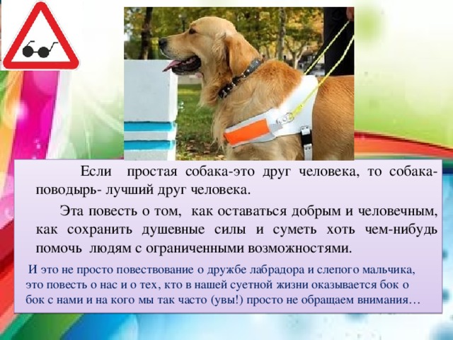  Если простая собака-это друг человека, то собака-поводырь- лучший друг человека.  Эта повесть о том, как оставаться добрым и человечным, как сохранить душевные силы и суметь хоть чем-нибудь помочь людям с ограниченными возможностями.  И это не просто повествование о дружбе лабрадора и слепого мальчика, это повесть о нас и о тех, кто в нашей суетной жизни оказывается бок о бок с нами и на кого мы так часто (увы!) просто не обращаем внимания… 