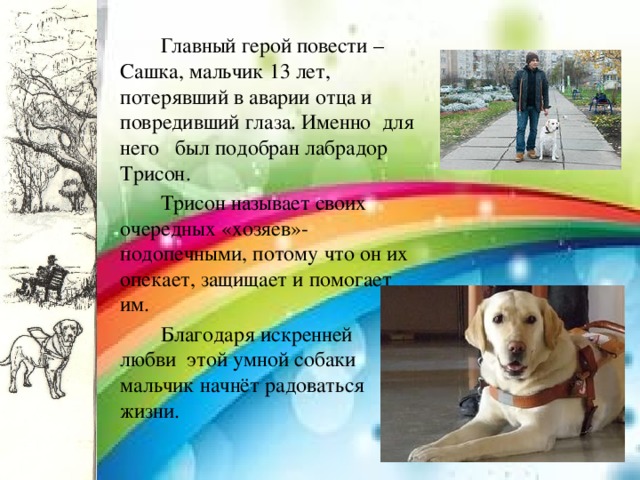  Главный герой повести –Сашка, мальчик 13 лет, потерявший в аварии отца и повредивший глаза. Именно для него был подобран лабрадор Трисон.  Трисон называет своих очередных «хозяев»-подопечными, потому что он их опекает, защищает и помогает им.  Благодаря искренней любви этой умной собаки мальчик начнёт радоваться жизни. 