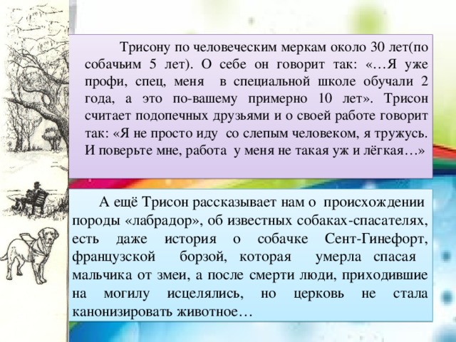  Трисону по человеческим меркам около 30 лет(по собачьим 5 лет). О себе он говорит так: «…Я уже профи, спец, меня в специальной школе обучали 2 года, а это по-вашему примерно 10 лет». Трисон считает подопечных друзьями и о своей работе говорит так: «Я не просто иду со слепым человеком, я тружусь. И поверьте мне, работа у меня не такая уж и лёгкая…»  А ещё Трисон рассказывает нам о происхождении породы «лабрадор», об известных собаках-спасателях, есть даже история о собачке Сент-Гинефорт, французской борзой, которая умерла спасая мальчика от змеи, а после смерти люди, приходившие на могилу исцелялись, но церковь не стала канонизировать животное… 