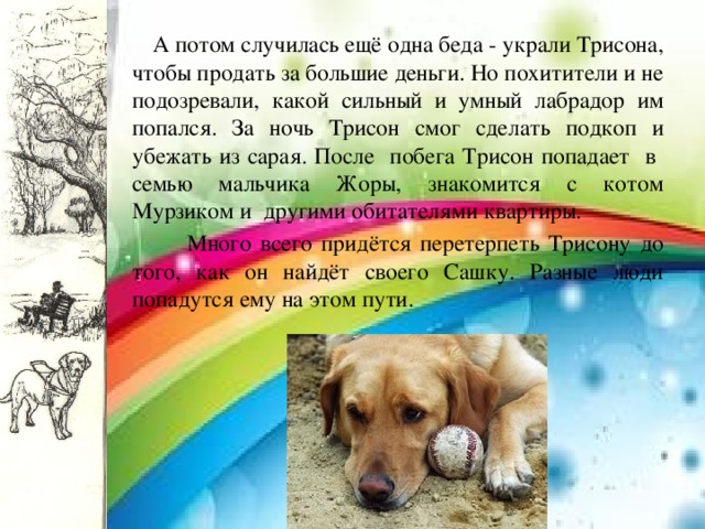  А потом случилась ещё одна беда - украли Трисона, чтобы продать за большие деньги. Но похитители и не подозревали, какой сильный и умный лабрадор им попался. За ночь Трисон смог сделать подкоп и убежать из сарая. После побега Трисон попадает в семью мальчика Жоры, знакомится с котом Мурзиком и другими обитателями квартиры.  Много всего придётся перетерпеть Трисону до того, как он найдёт своего Сашку. Разные люди попадутся ему на этом пути. 