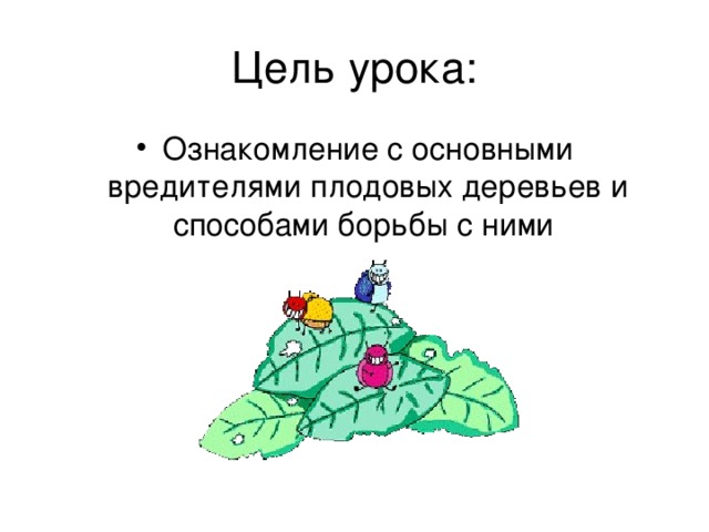 Цель урока: Ознакомление с основными вредителями плодовых деревьев и способами борьбы с ними 