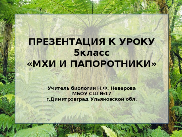 ПРЕЗЕНТАЦИЯ К УРОКУ 5класс  «МХИ И ПАПОРОТНИКИ»     Учитель биологии Н.Ф. Неверова МБОУ СШ №17 г.Димитровград Ульяновской обл. 