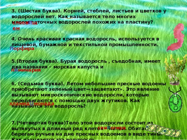 3. (Шестая буква). Корней, стеблей, листьев и цветков у водорослей нет. Как называется тело многих многоклеточных водорослей похожих на пластину?   4. Очень красивая красная водоросль, используется в пищевой, бумажной и текстильной промышленности.   5.(Вторая буква). Бурая водоросль , съедобная, имеет два названия – морская капуста и   6. (Седьмая буква). Летом небольшие пресные водоемы приобретают зеленый цвет-«зацветают». Это явление вызывают микроскопические водоросли, которые передвигаются с помощью двух жгутиков. Как называется эта водоросль?   7.(Четвертая буква)Тело этой водоросли состоит из вытянутых в длинный ряд клеток – нитей. Обитают по берегам ручьев на дне пресных водоемов в виде тины. Как называется эта водоросль слоев И щем П орфира л А минария  хламид О монада спи Р огира  