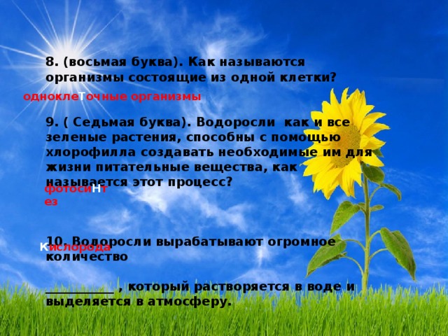 8. (восьмая буква). Как называются организмы состоящие из одной клетки?   9. ( Седьмая буква). Водоросли как и все зеленые растения, способны с помощью хлорофилла создавать необходимые им для жизни питательные вещества, как называется этот процесс?    10. Водоросли вырабатывают огромное количество  ___________ , который растворяется в воде и выделяется в атмосферу. однокле Т очные организмы фотоси Н тез К ислорода 