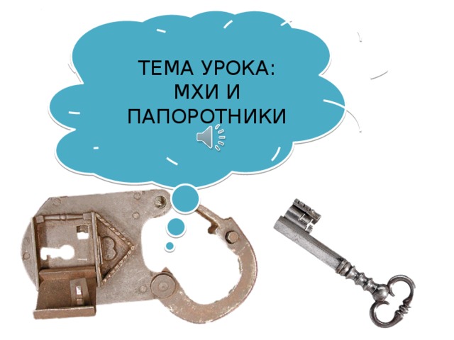 ТЕМА УРОКА: МХИ И ПАПОРОТНИКИ 