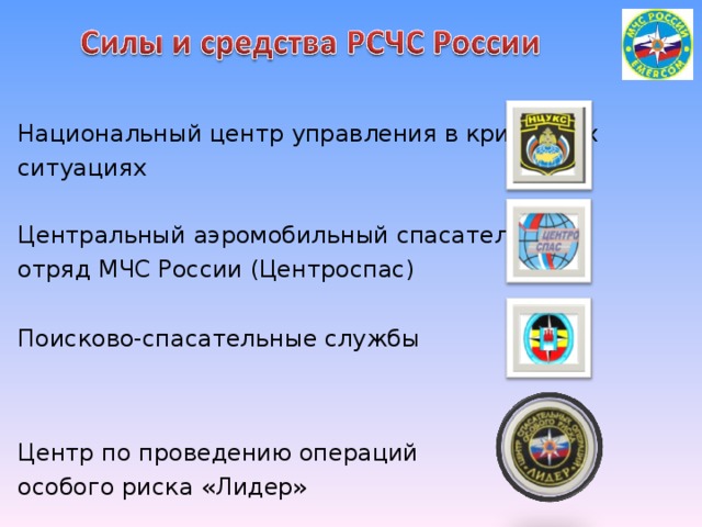 Национальный центр управления в кризисных ситуациях Центральный аэромобильный спасательный отряд МЧС России (Центроспас) Поисково-спасательные службы Центр по проведению операций особого риска «Лидер» 