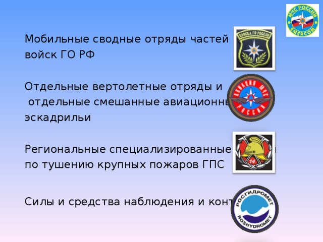 Мобильные сводные отряды частей войск ГО РФ Отдельные вертолетные отряды и  отдельные смешанные авиационные эскадрильи Региональные специализированные отряды по тушению крупных пожаров ГПС Силы и средства наблюдения и контроля 