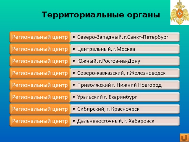 Территориальные органы   