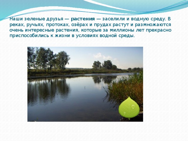 Наши зеленые друзья — растения — заселили и водную среду. В реках, ручьях, протоках, озёрах и прудах растут и размножаются очень интересные растения, которые за миллионы лет прекрасно приспособились к жизни в условиях водной среды. 