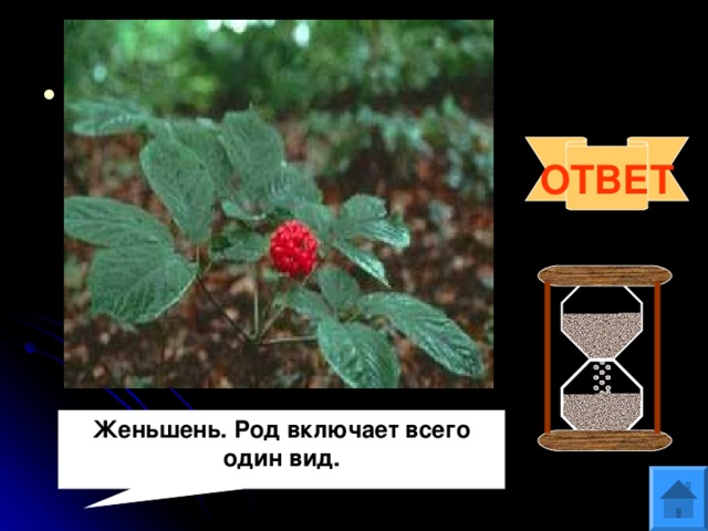 Вопрос 10 Панакс (от греческого «пан»- всё и «акос»- исцеляющий)- это родовое название дал растению К.Линней в 1753 году. Что это за растение? Что вам о нём известно? ОТВЕТ Женьшень. Род включает всего один вид. 