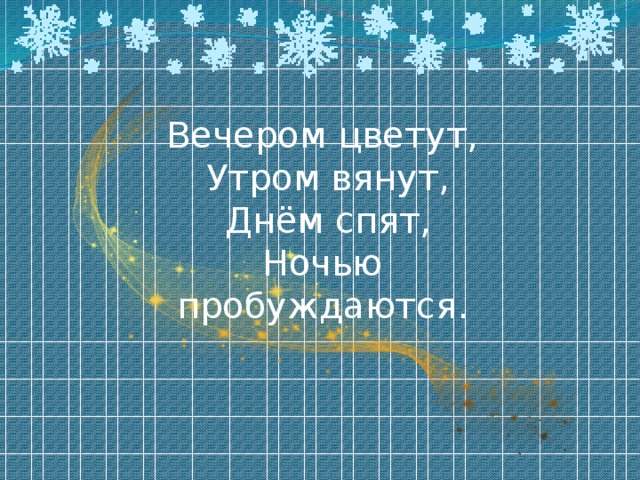 Вечером цветут,   Утром вянут,   Днём спят,  Ночью пробуждаются. 