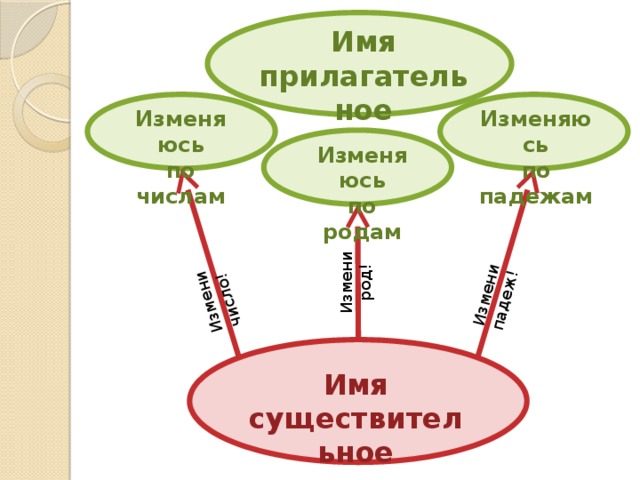 Измени число! Измени род! Измени падеж! Имя прилагательное Изменяюсь Изменяюсь по числам по падежам Изменяюсь по родам Имя существительное 