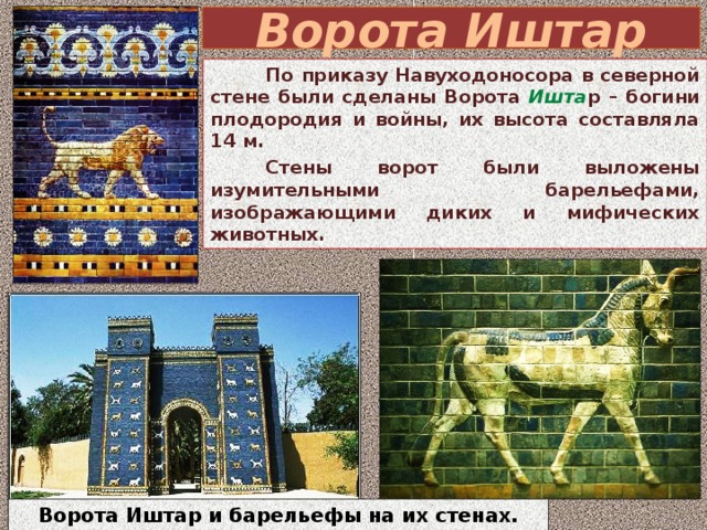 Ворота Иштар  По приказу Навуходоносора в северной стене были сделаны Ворота Ишта р – богини плодородия и войны, их высота составляла 14 м.  Стены ворот были выложены изумительными барельефами, изображающими диких и мифических животных. Ворота Иштар и барельефы на их стенах. Фото 