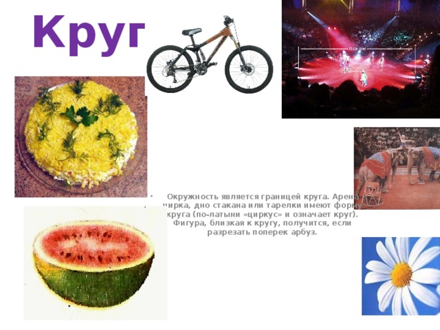 Круг Окружность является границей круга. Арена цирка, дно стакана или тарелки имеют форму круга (по-латыни «циркус» и означает круг). Фигура, близкая к кругу, получится, если разрезать поперек арбуз.  