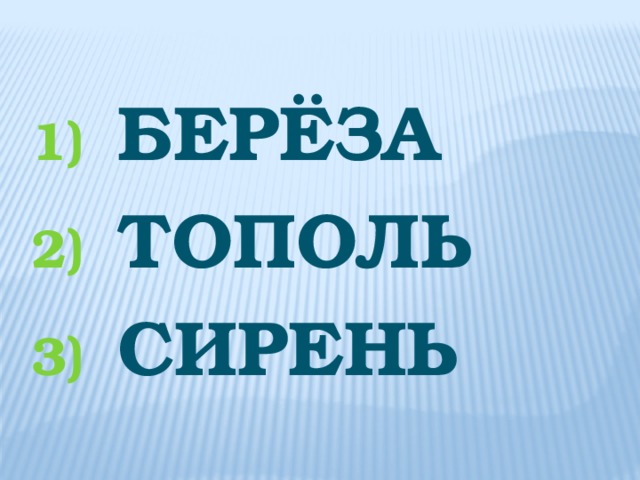 БЕРЁЗА Тополь СИРЕНЬ 