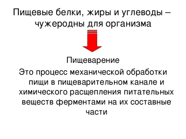 Пищевые белки, жиры и углеводы –  чужеродны для организма 