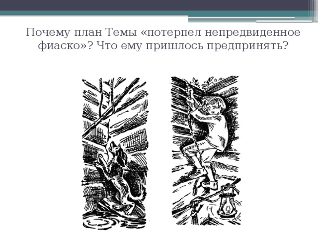 Почему план Темы «потерпел непредвиденное фиаско»? Что ему пришлось предпринять? 