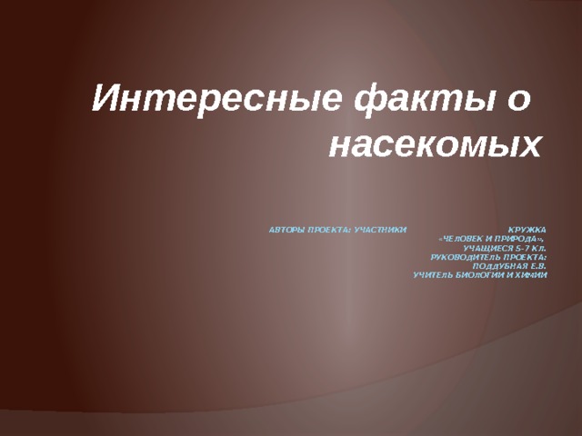Интересные факты о насекомых    Авторы проекта: участники кружка «Человек и природа»,  учащиеся 5-7 кл.  Руководитель проекта: Поддубная Е.В.  учитель биологии и химии                 