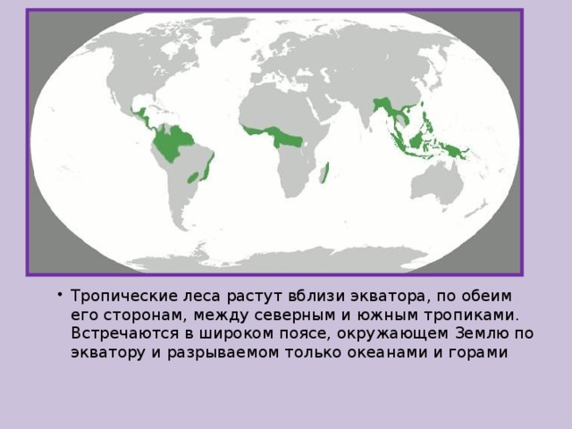 Тропические леса растут вблизи экватора, по обеим его сторонам, между северным и южным тропиками. Встречаются в широком поясе, окружающем Землю по экватору и разрываемом только океанами и горами 