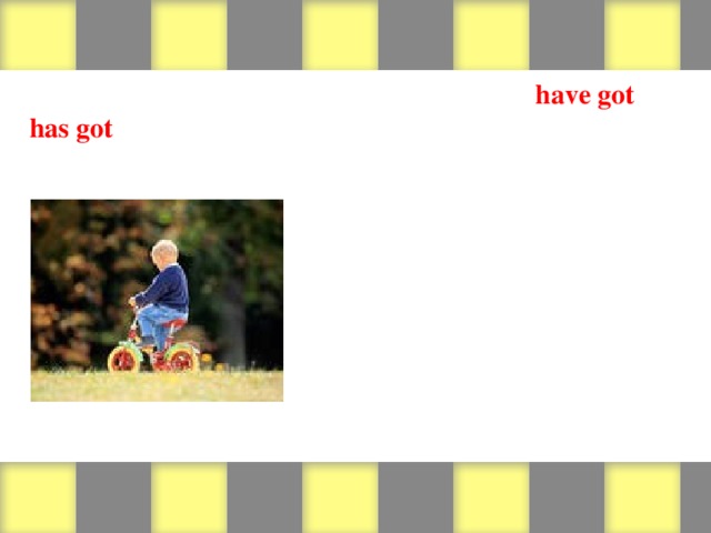 Look at the pictures and write sentences with have got or has got . Then write negative and interrogative sentences, as in the example.  1. The boy has got a bike. 2. The boy hasn’t got a bike. 3. Has the boy got a bike? (boy / bike)