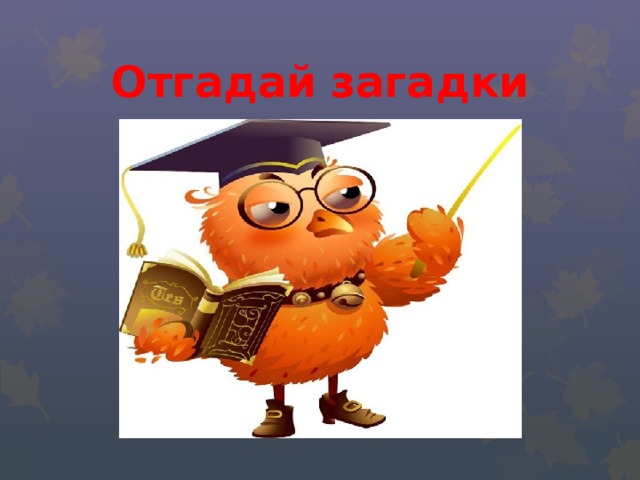 Отгадай загадки 