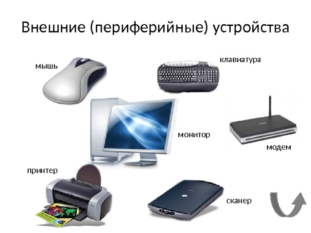 Внешние (периферийные) устройства клавиатура мышь монитор модем принтер сканер 