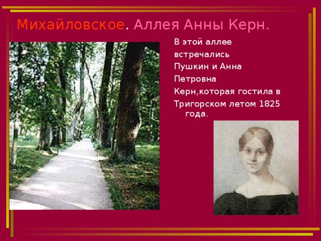 Михайловское . Аллея Анны Керн.   В этой аллее встречались Пушкин и Анна Петровна Керн,которая гостила в Тригорском летом 1825 года. 