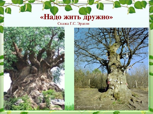 «Надо жить дружно» Сказка Г.С. Эрдели