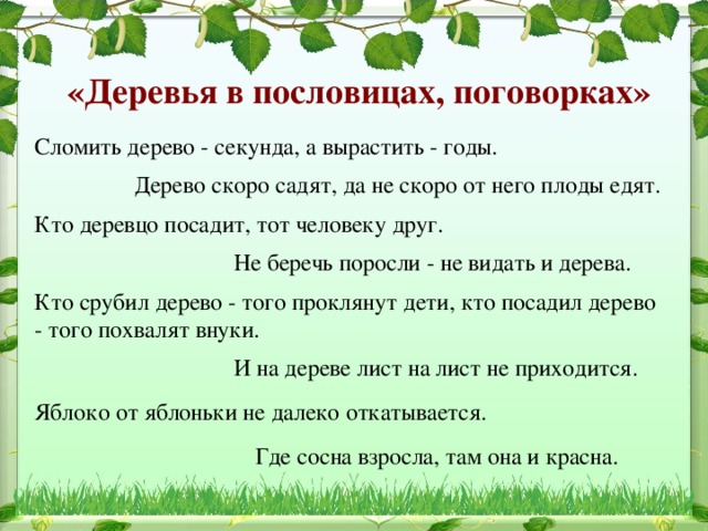 «Деревья в пословицах, поговорках» Сломить дерево - секунда, а вырастить - годы.  Дерево скоро садят, да не скоро от него плоды едят.  Кто деревцо посадит, тот человеку друг.  Не беречь поросли - не видать и дерева.  Кто срубил дерево - того проклянут дети, кто посадил дерево - того похвалят внуки. И на дереве лист на лист не приходится.  Яблоко от яблоньки не далеко откатывается. Где сосна взросла, там она и красна.