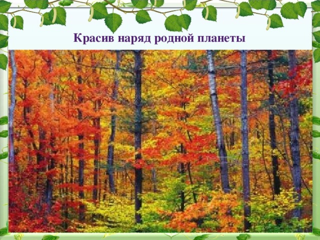 Красив наряд родной планеты