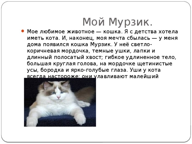  Мой Мурзик. Мое любимое животное — кошка. Я с детства хотела иметь кота. И, наконец, моя мечта сбылась — у меня дома появился кошка Мурзик. У неё светло-коричневая мордочка, темные ушки, лапки и длинный полосатый хвост; гибкое удлиненное тело, большая круглая голова, на мордочке щетинистые усы, бородка и ярко-голубые глаза. Уши у кота всегда настороже; они улавливают малейший шорох.    