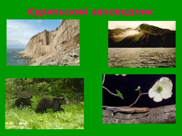 Курильский заповедник   