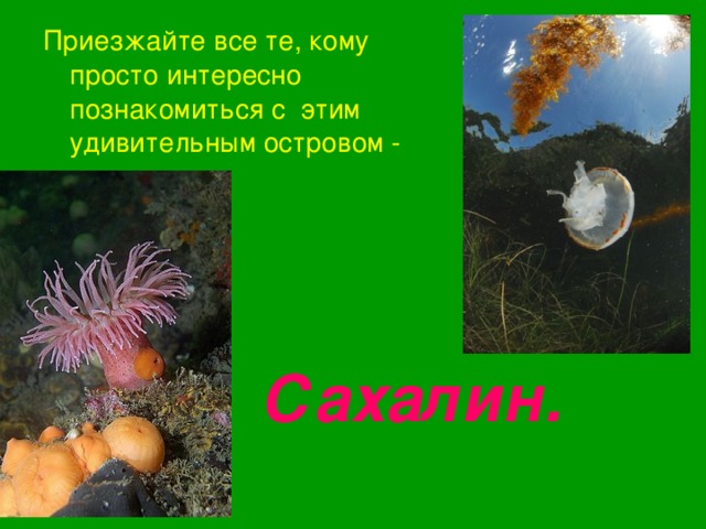 Приезжайте все те, кому просто интересно познакомиться с  этим удивительным островом - Сахалин. 