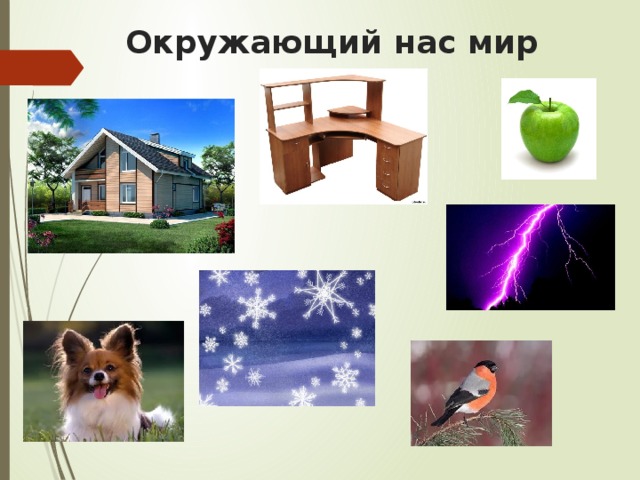 Окружающий нас мир 