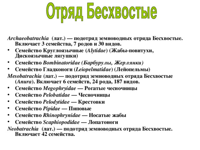 Archaeobatrachia  (лат.) — подотряд земноводных отряда Бесхвостые. Включает 3 семейства, 7 родов и 30 видов. Семейство Круглоязычные ( Alytidae ) (Жабы-повитухи, Дискоязычные лягушки) Семейство Bombinatoridae (Барбурулы, Жерлянки) Семейство Гладконоги ( Leiopelmatidae ) (Лейопельмы) Mesobatrachia  (лат.) — подотряд земноводных отряда Бесхвостые ( Anura ). Включает 6 семейств, 24 рода, 187 видов. Семейство Megophryidae — Рогатые чесночницы Семейство Pelobatidae — Чесночницы Семейство Pelodytidae — Крестовки Семейство Pipidae — Пиповые Семейство Rhinophrynidae — Носатые жабы Семейство Scaphiopodidae — Лопатоноги Neobatrachia   (лат.) — подотряд земноводных отряда Бесхвостые. Включает 42 семейства. 
