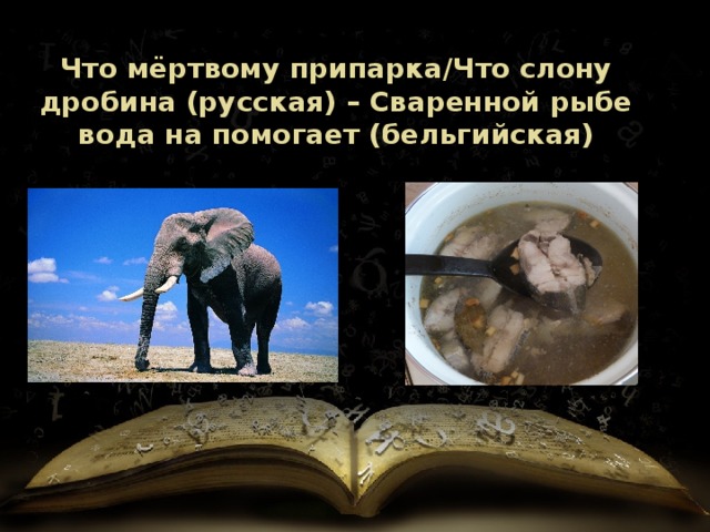 Что мёртвому припарка/Что слону дробина (русская) – Сваренной рыбе вода на помогает (бельгийская) 
