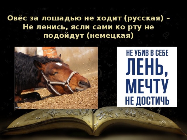 Овёс за лошадью не ходит (русская) – Не ленись, ясли сами ко рту не подойдут (немецкая) 