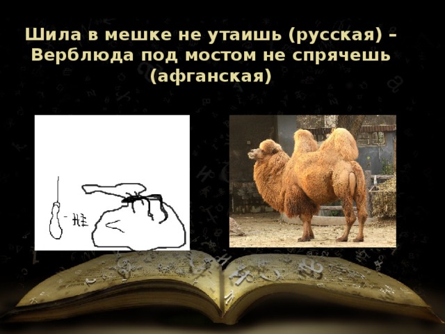 Шила в мешке не утаишь (русская) – Верблюда под мостом не спрячешь (афганская) 