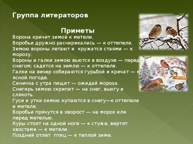Группа литераторов  Приметы Ворона кричит зимой к метели.  Воробьи дружно расчирикались — к оттепели.  Зимою вороны летают и  кружатся стаями — к морозу.  Вороны и галки зимою вьются в воздухе — перед снегом; садятся на землю — к оттепели.  Галки на вечер собираются гурьбой и кричат — к ясной погоде.  Синичка с утра пищит — ожидай мороза.  Снегирь зимою скрипит — на снег, вьюгу и слякоть.  Гуси и утки зимою купаются в снегу—к оттепели и метели.  Воробьи прячутся в хворост — на мороз или перед метелью.  Куры стоят на одной ноге — к стуже, вертят хвостами — к метели.  Поздний отлет  птиц — к теплой зиме. 