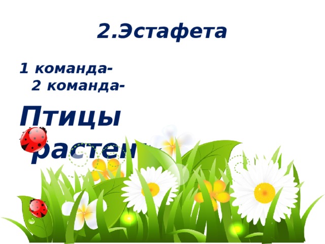 2.Эстафета 1 команда- 2 команда- Птицы растения  