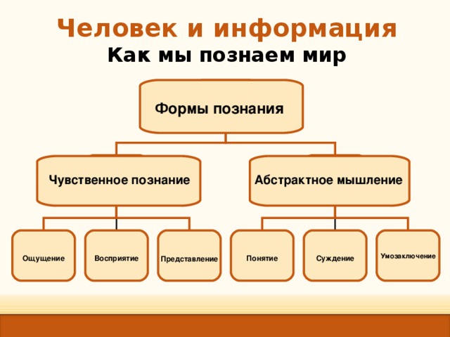 Человек и информация  Как мы познаем мир Формы познания Абстрактное мышление Чувственное познание       Суждение   Восприятие   Ощущение   Понятие  Умозаключение  Представление 