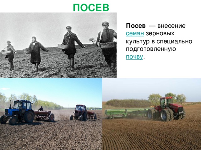 ПОСЕВ Посев   — внесение  семян зерновых культур в специально подготовленную  почву .  