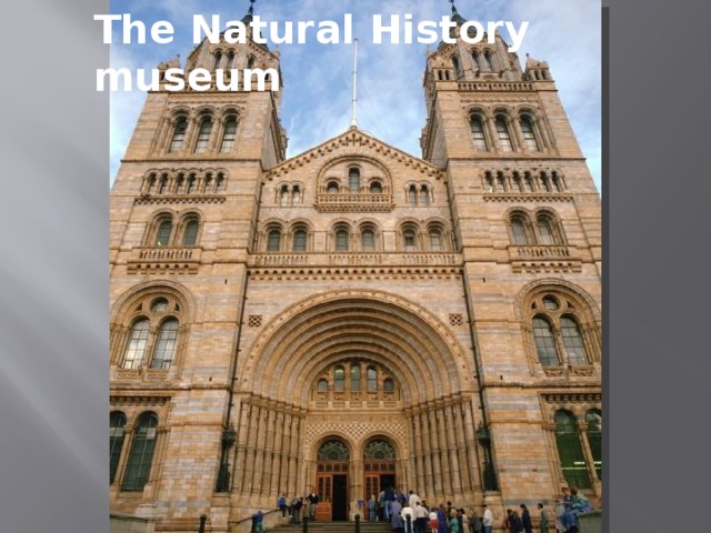 The Natural History museum