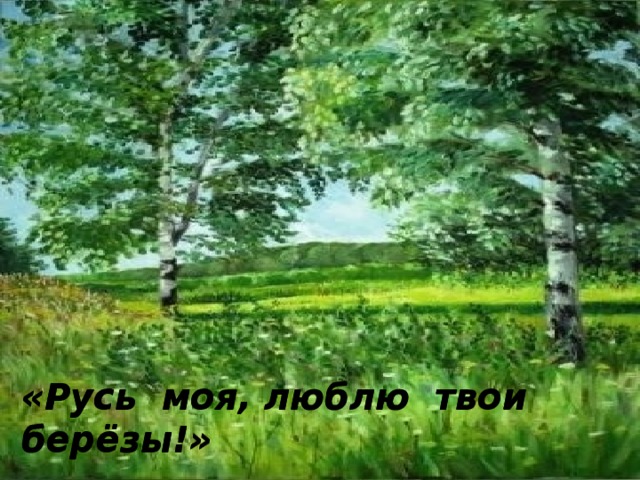 «Русь моя, люблю твои берёзы!» 